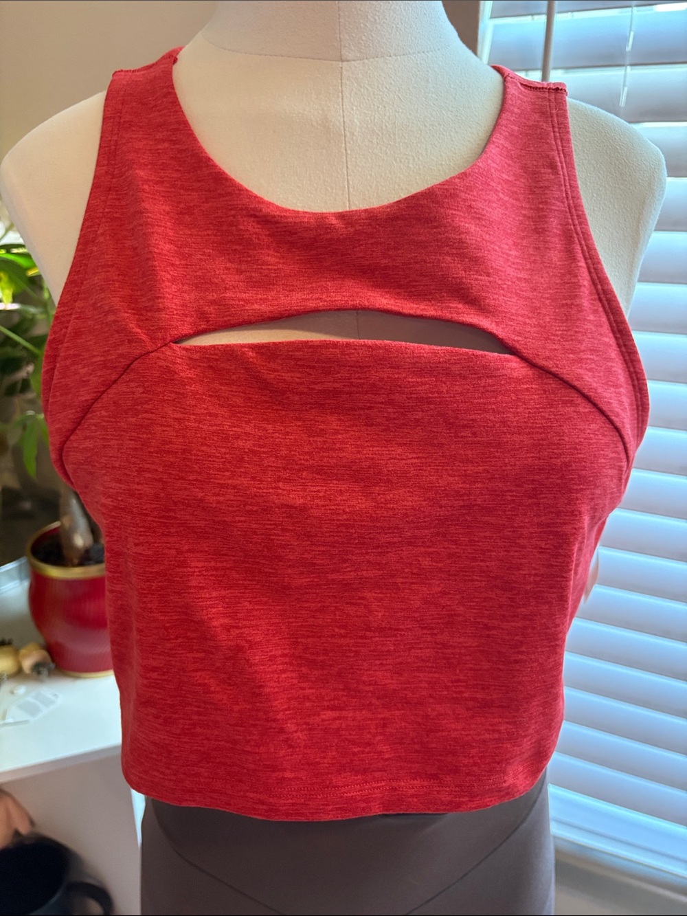 aerie Red Cutout Cropped Sports Bra Tank